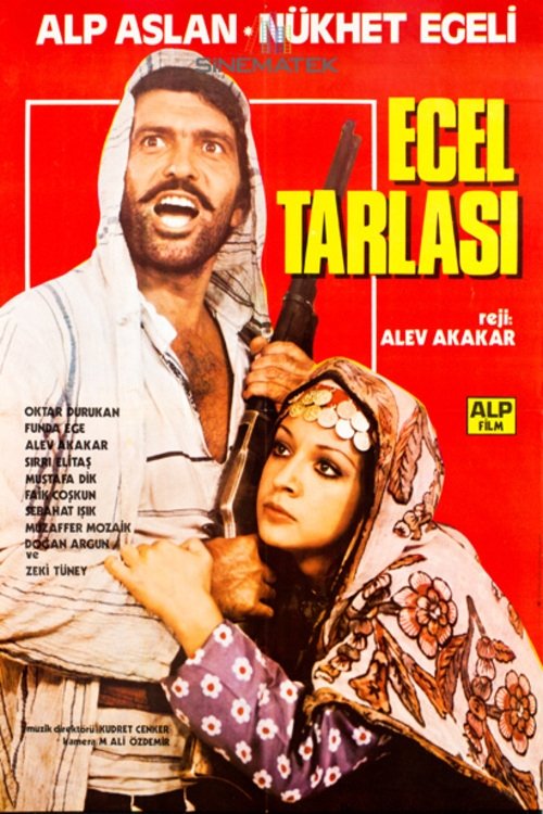 Ecel Tarlasi