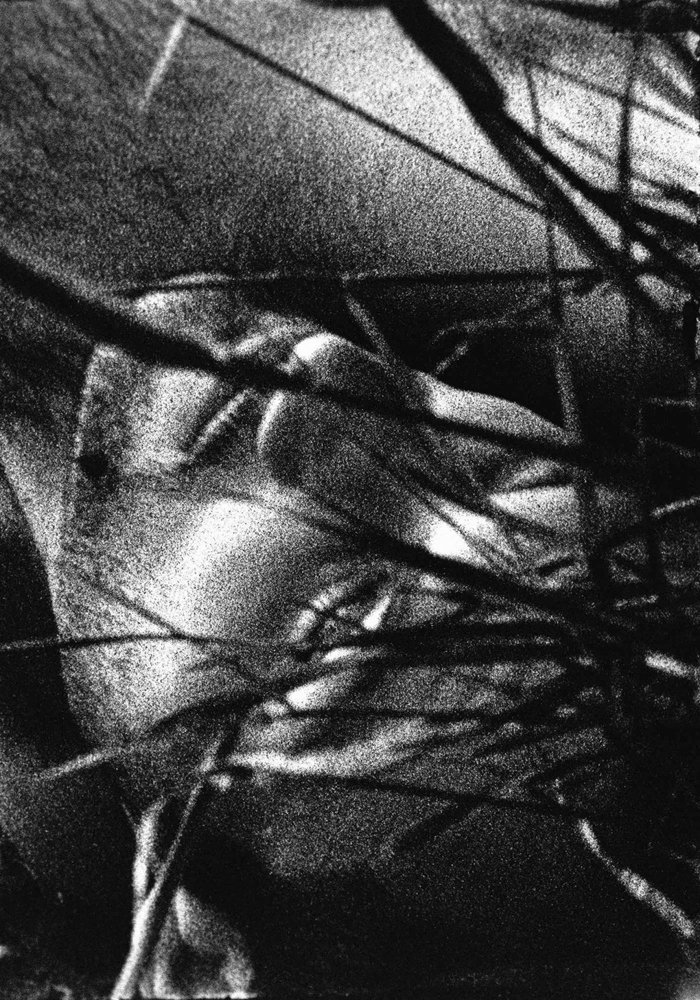 Mochebuitsy-trupolovy