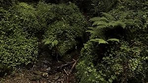 The Guidance of Reason