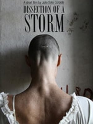 Dissection of a Storm