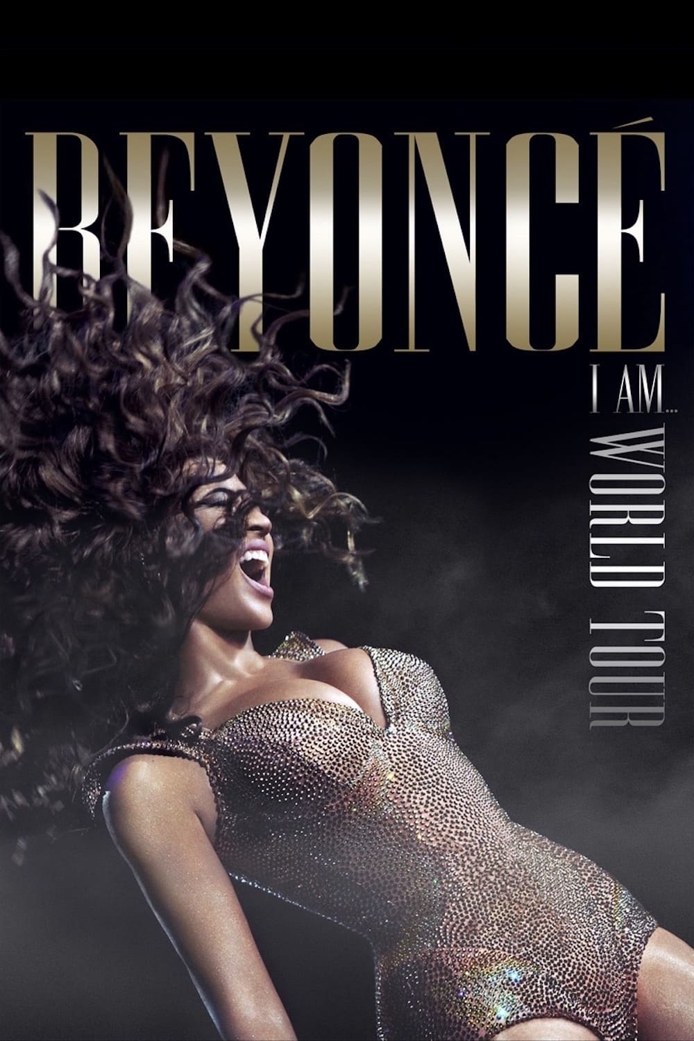 Beyoncé's I Am... World Tour