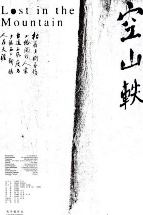 Lost in the Mountains