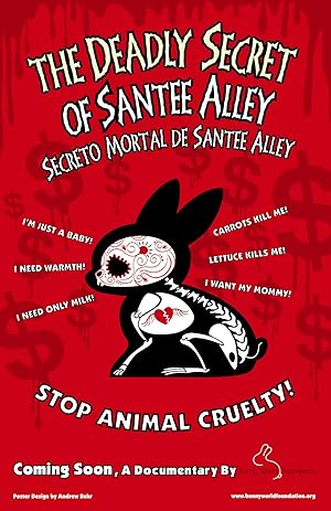 The Deadly Secret of Santee Alley