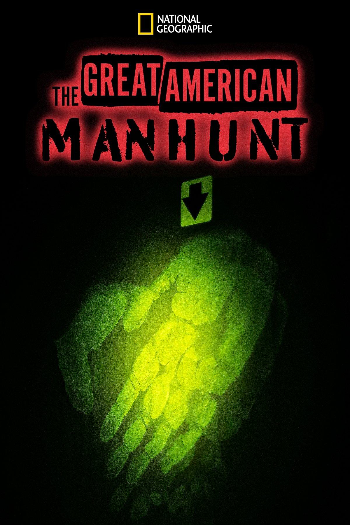 Mystery Manhunt