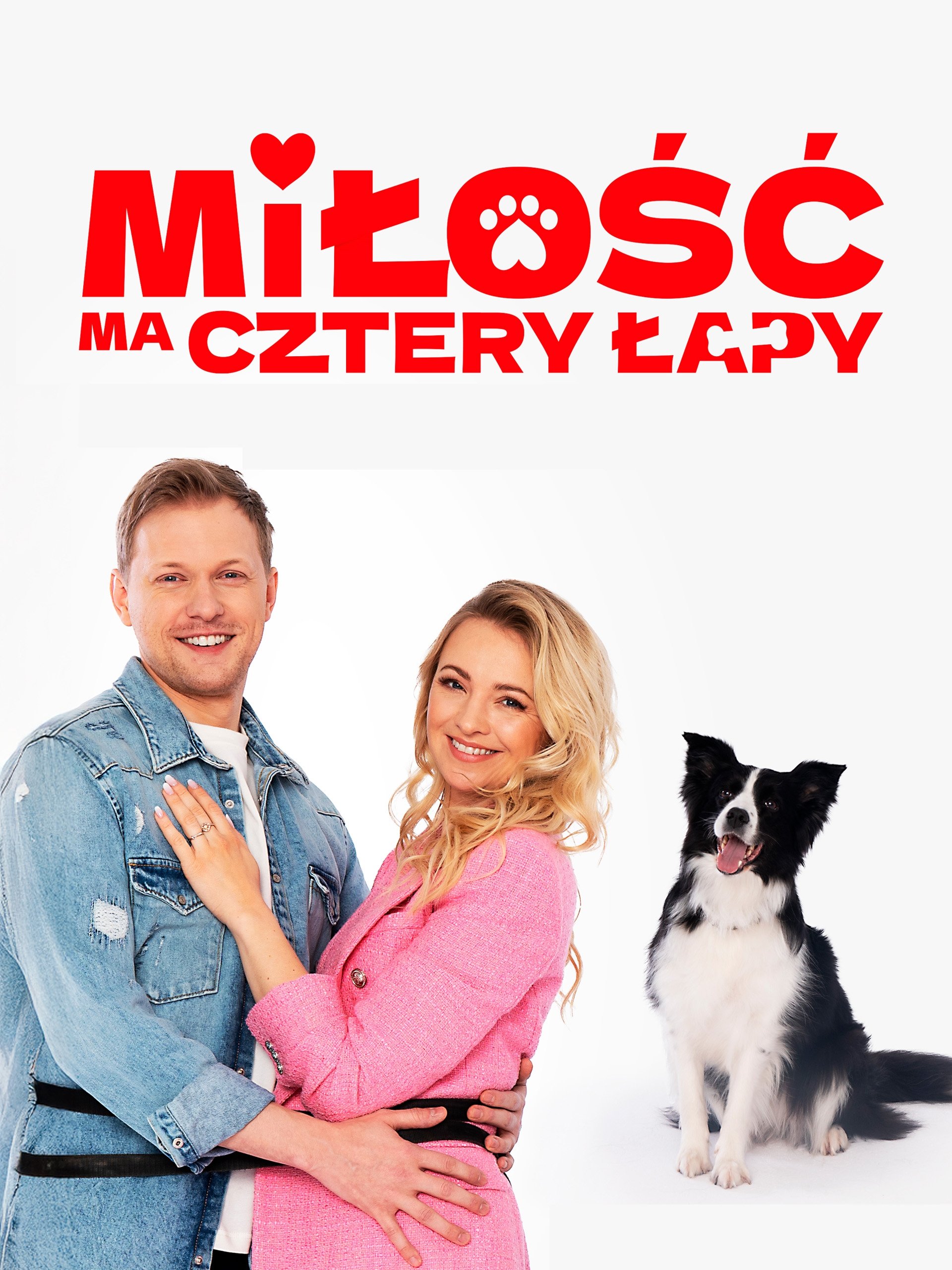 Milosc ma cztery lapy