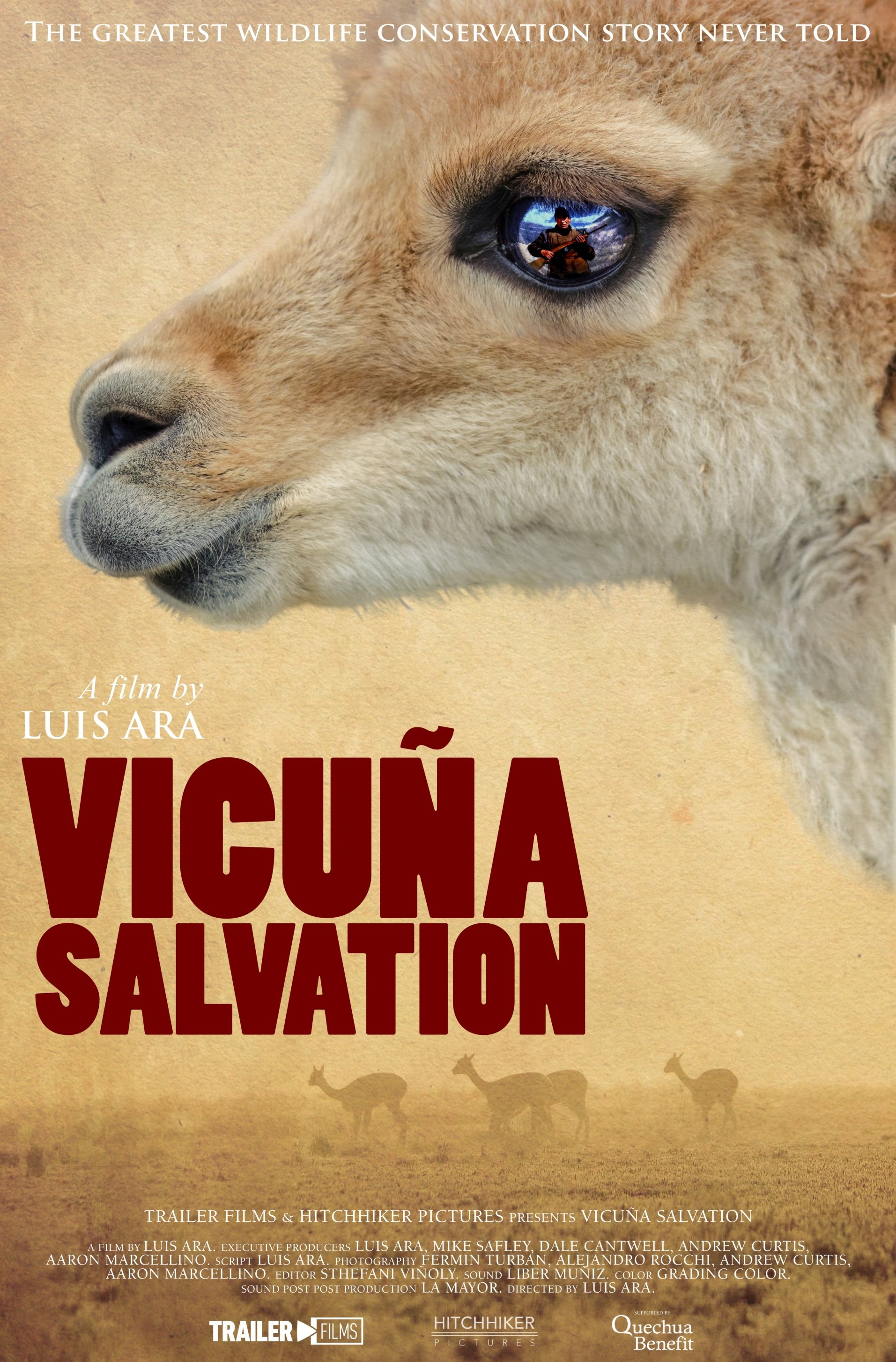 Vicuna Salvation