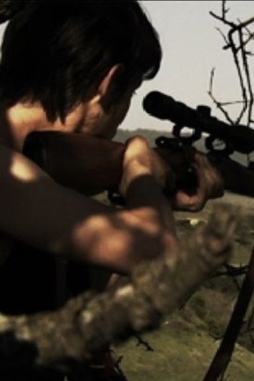 The Misunderstanding