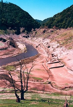 Les enfants du fond du lac