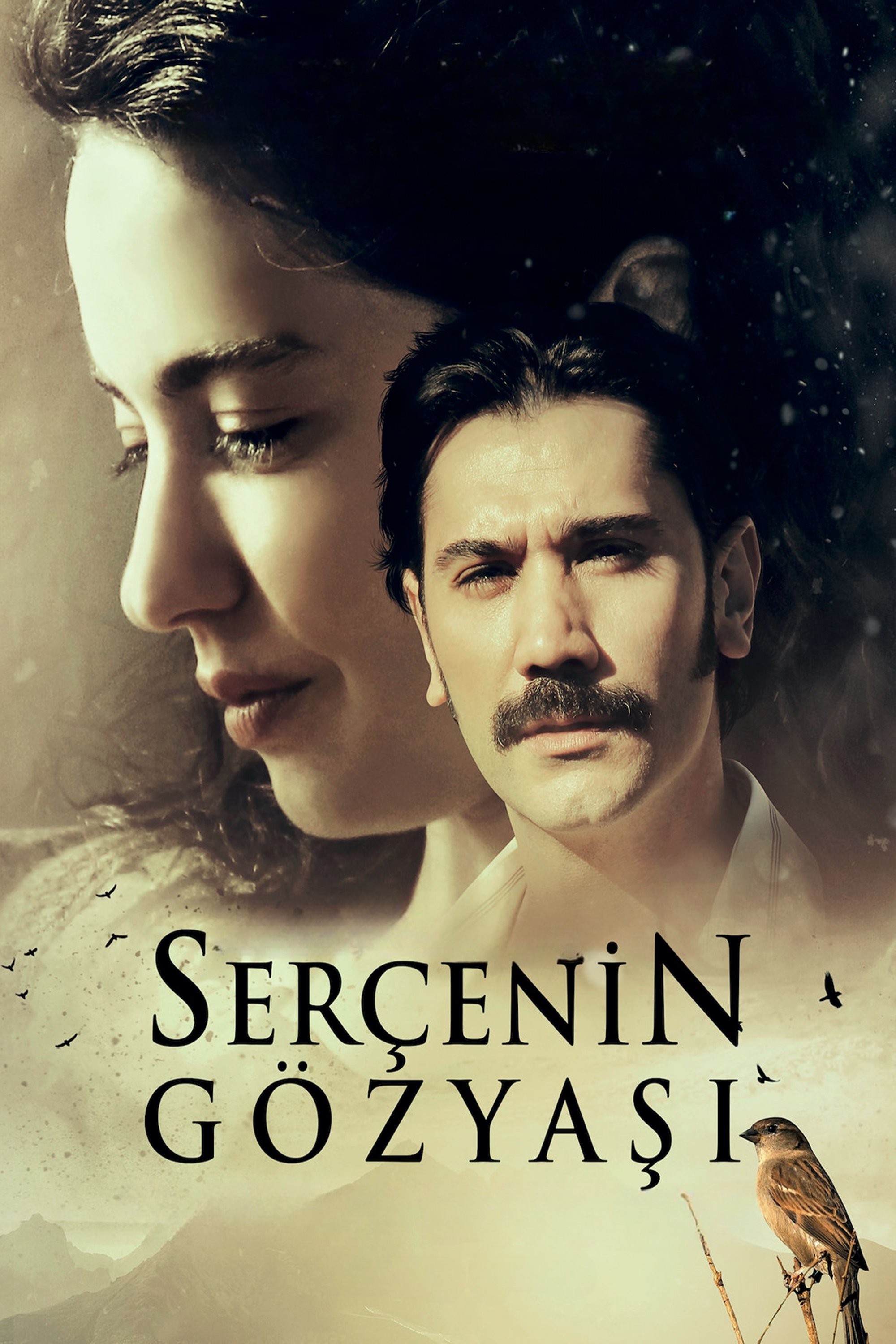 Serçenin Gözyasi