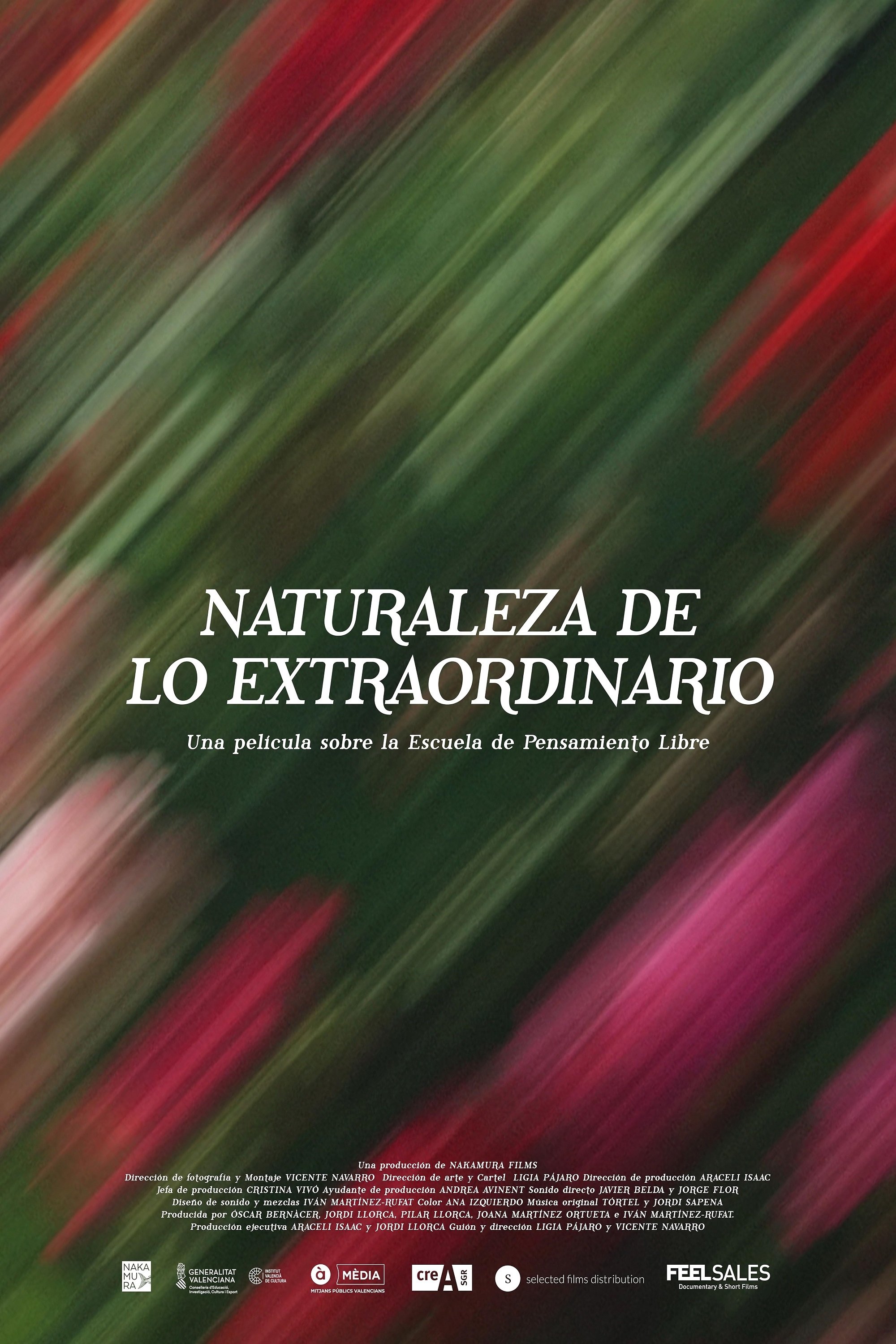 Nature of the Extraordinary