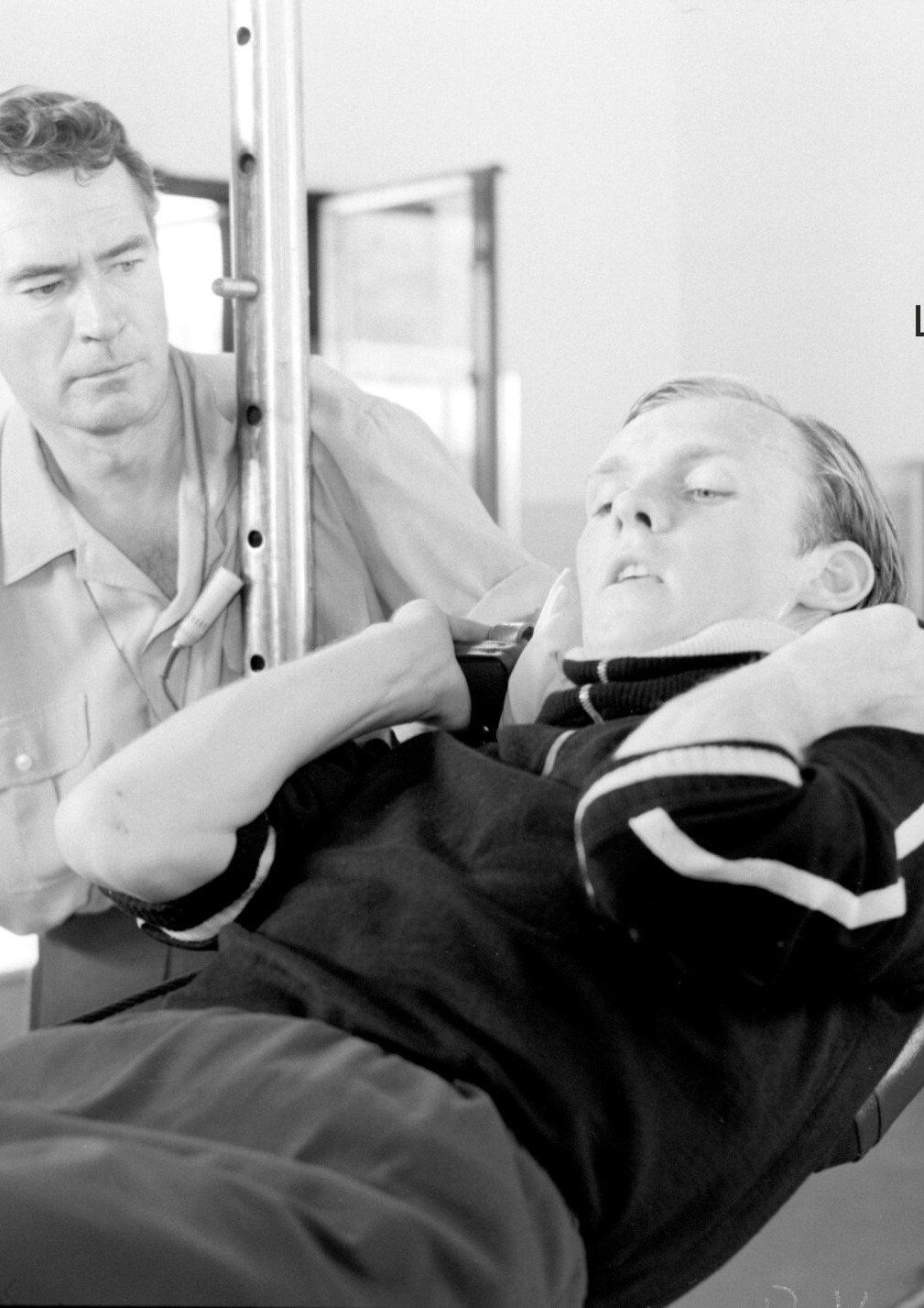 Karalienes bruninieks