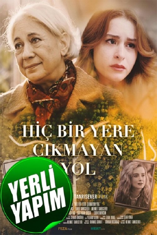 Hicbir Yere Cikmayan Yol