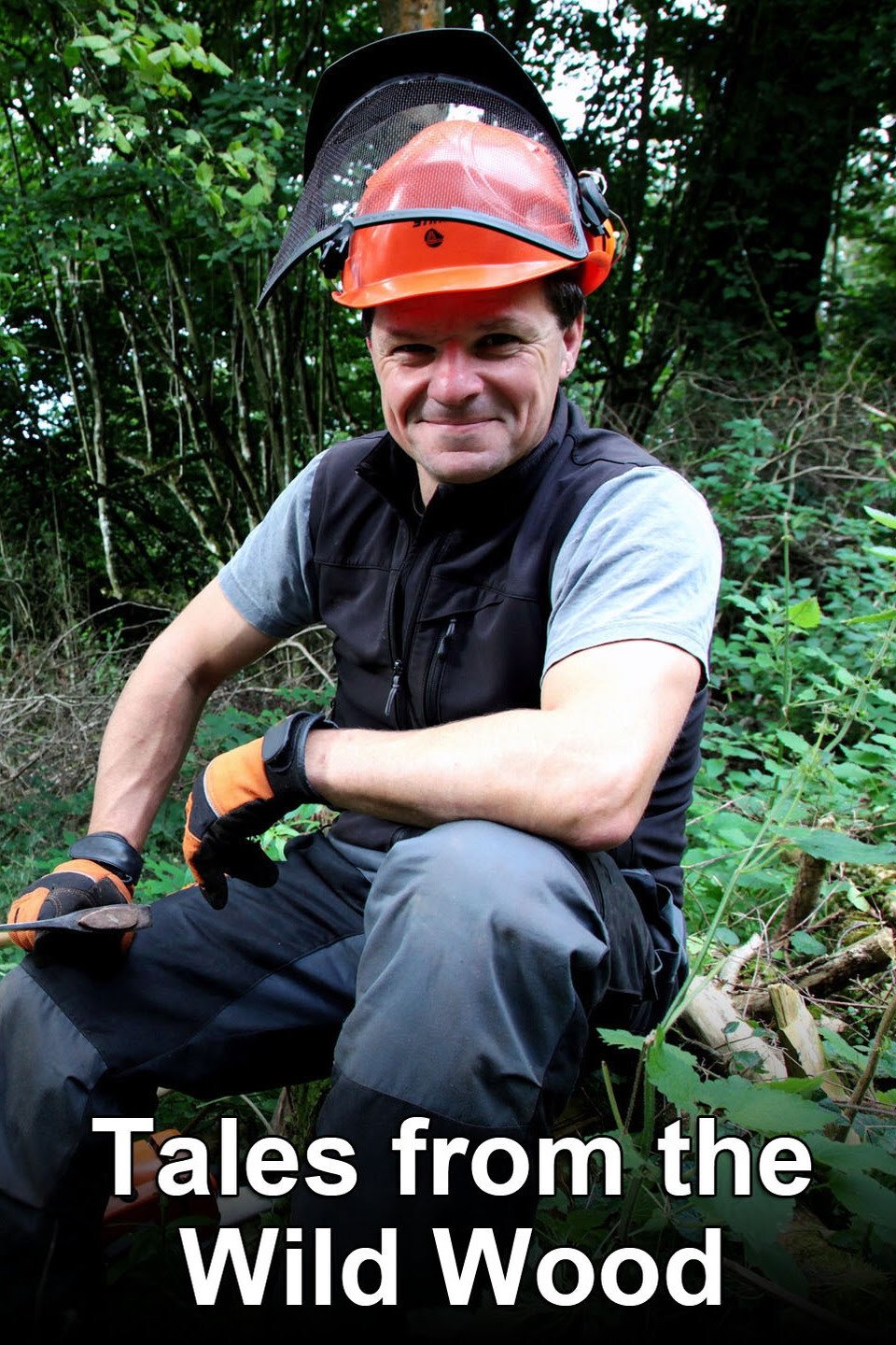 Tales from the Wild Wood