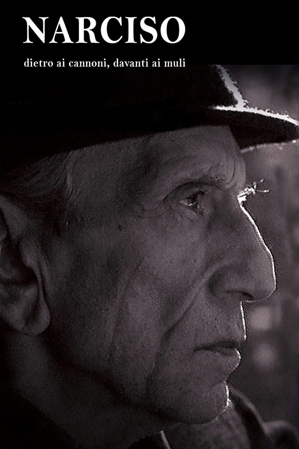 Narciso, dietro i cannoni, davanti ai muli