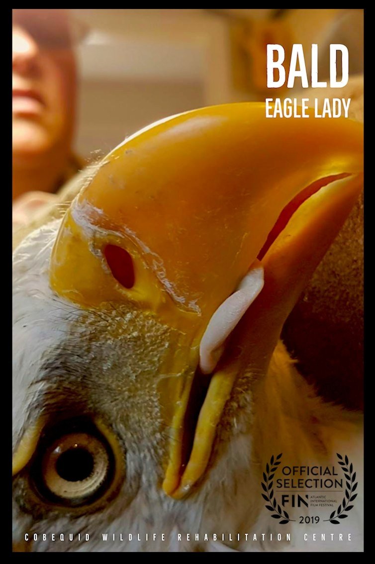 Bald Eagle Lady