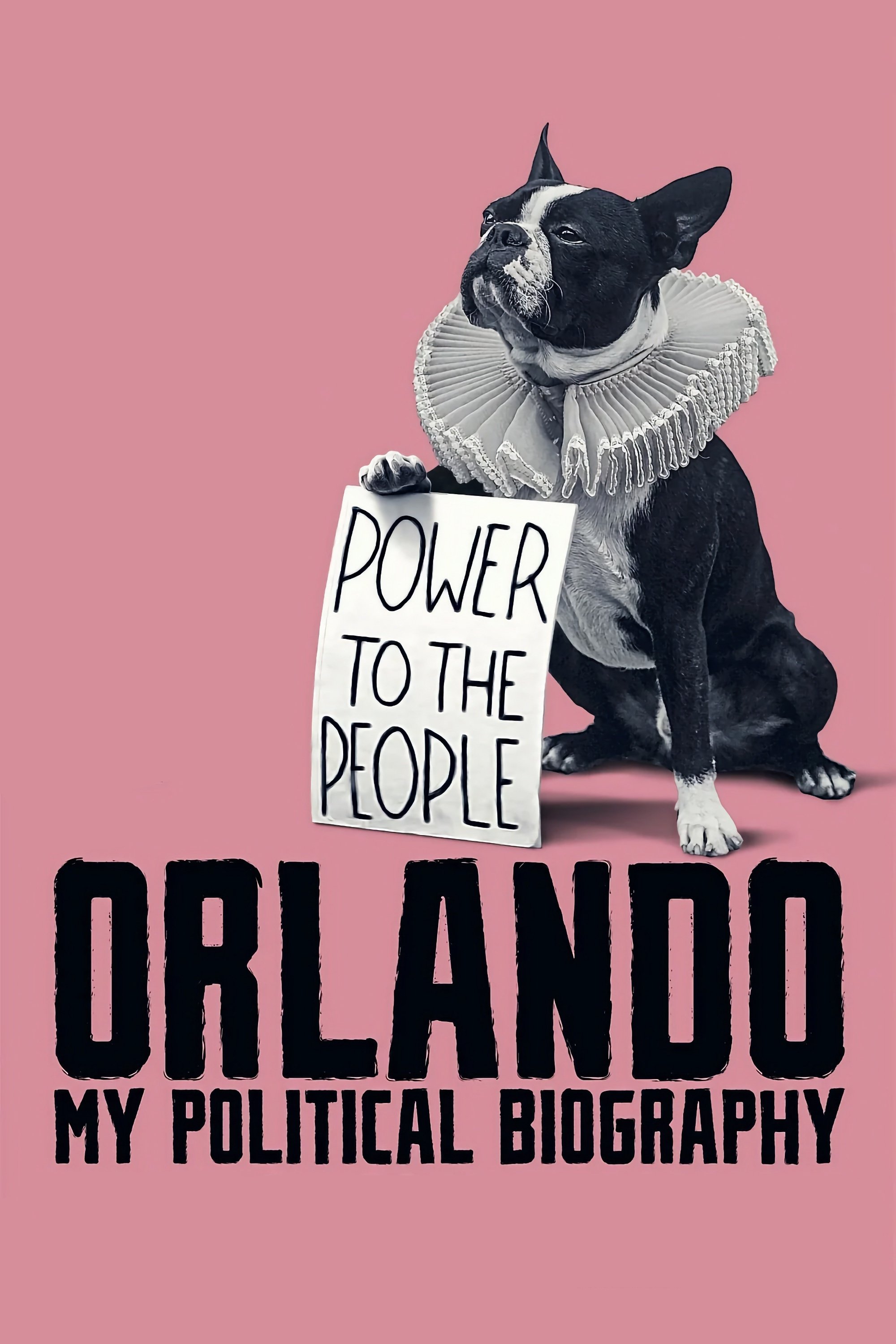 Orlando: My Political Biography