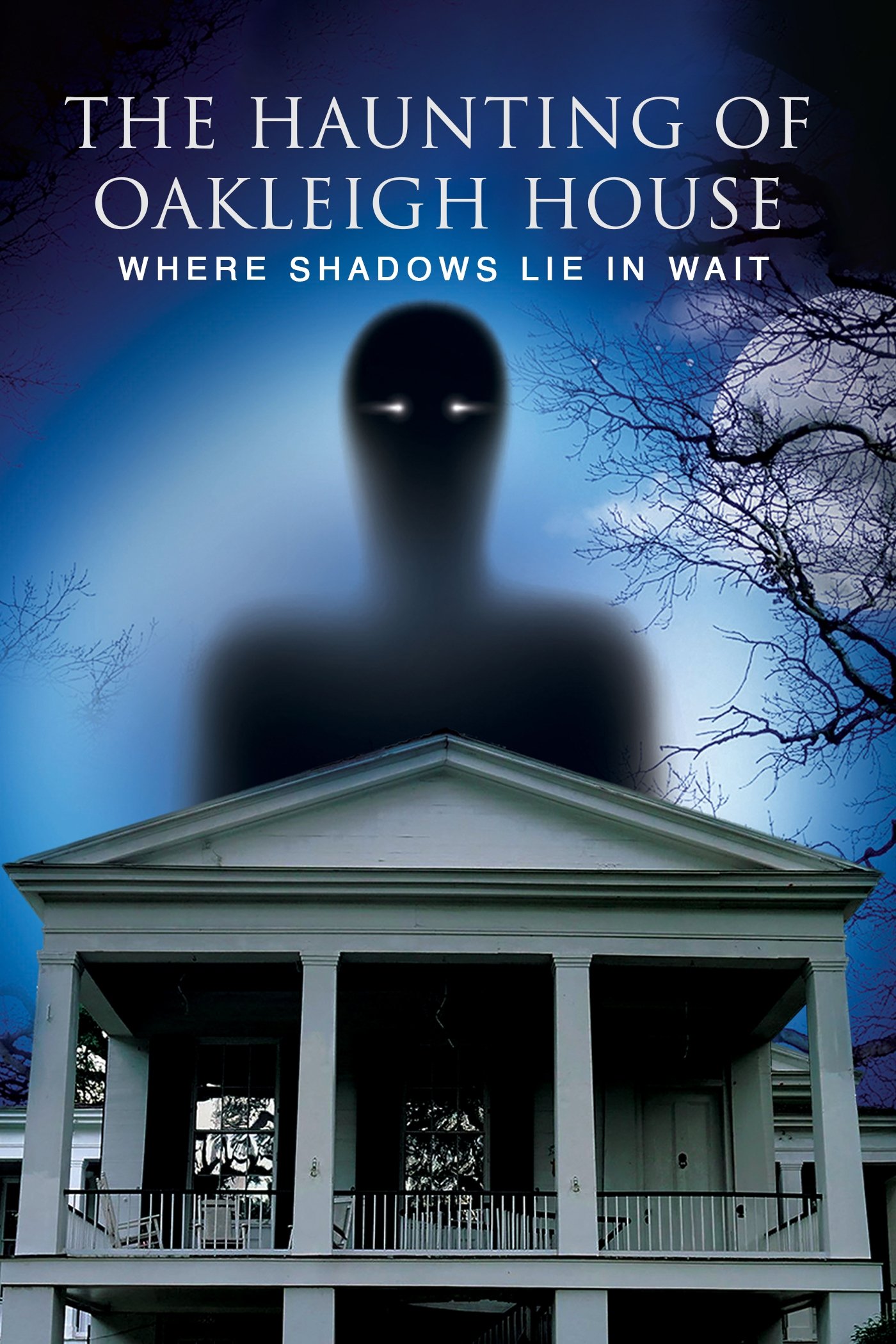 The Haunting of the Oakleigh House: Where Shadows Lie in Wait