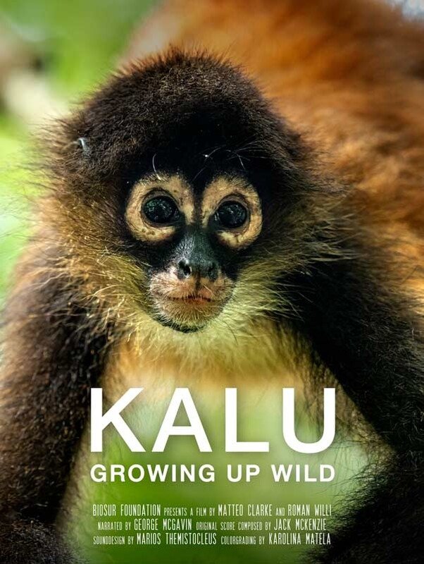 Kalu: Growing Up Wild
