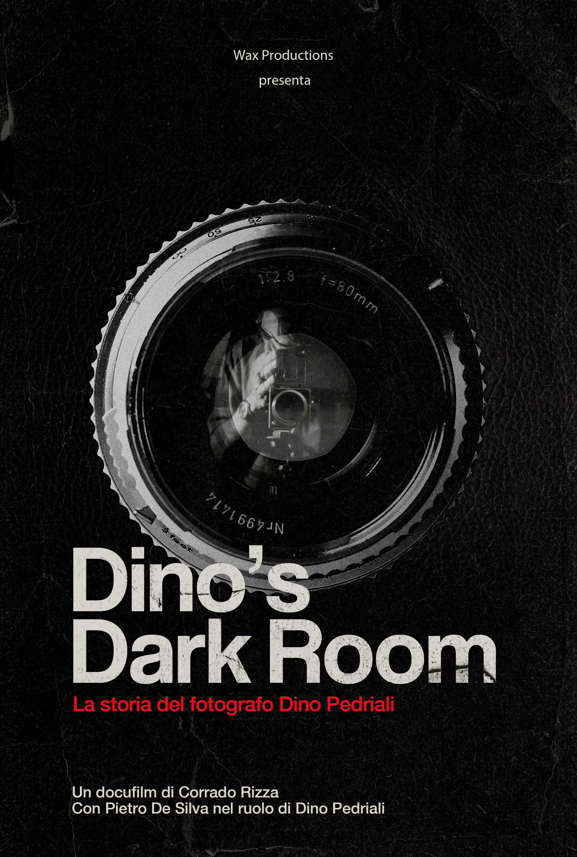 Dino's Dark Room