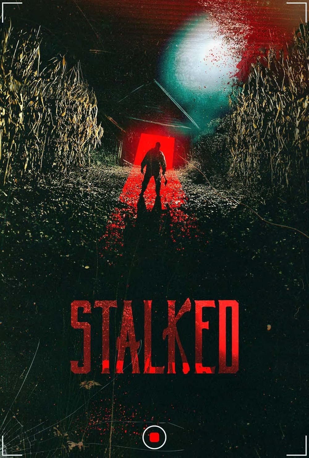 Stalked