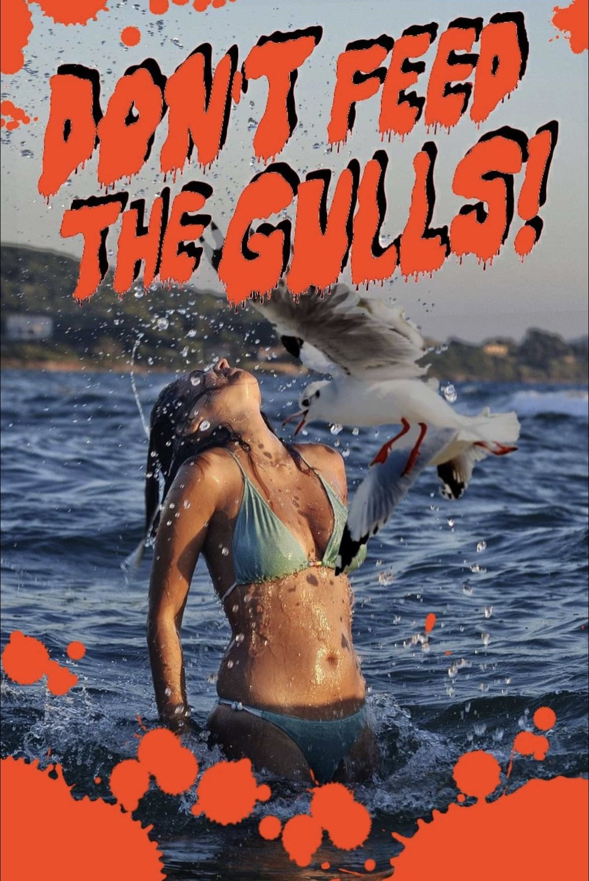 Don't Feed the Gulls