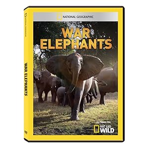 War Elephants