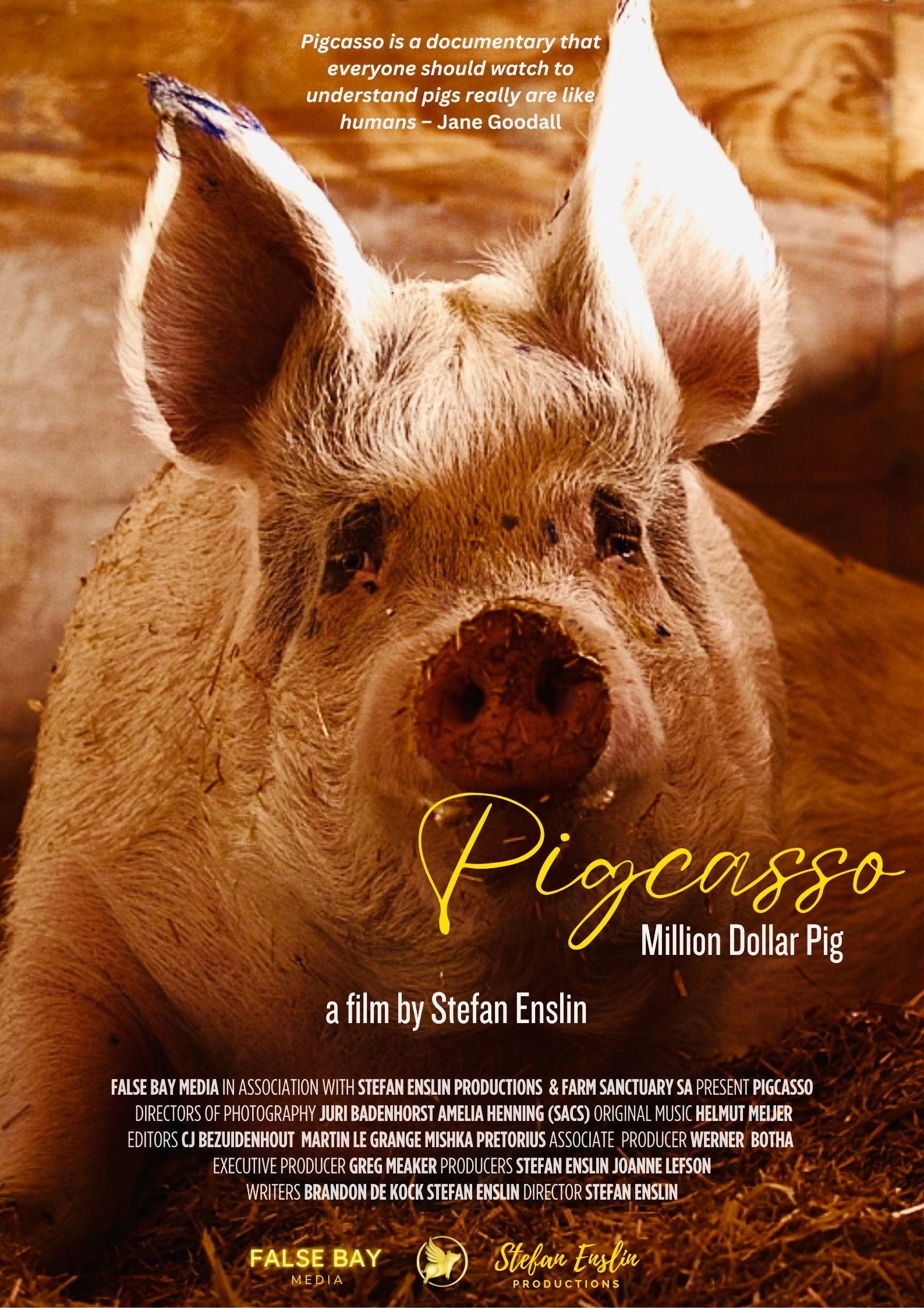 Pigcasso: Million Dollar Pig
