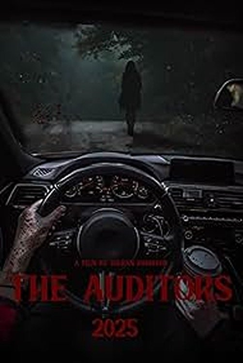 The Auditor