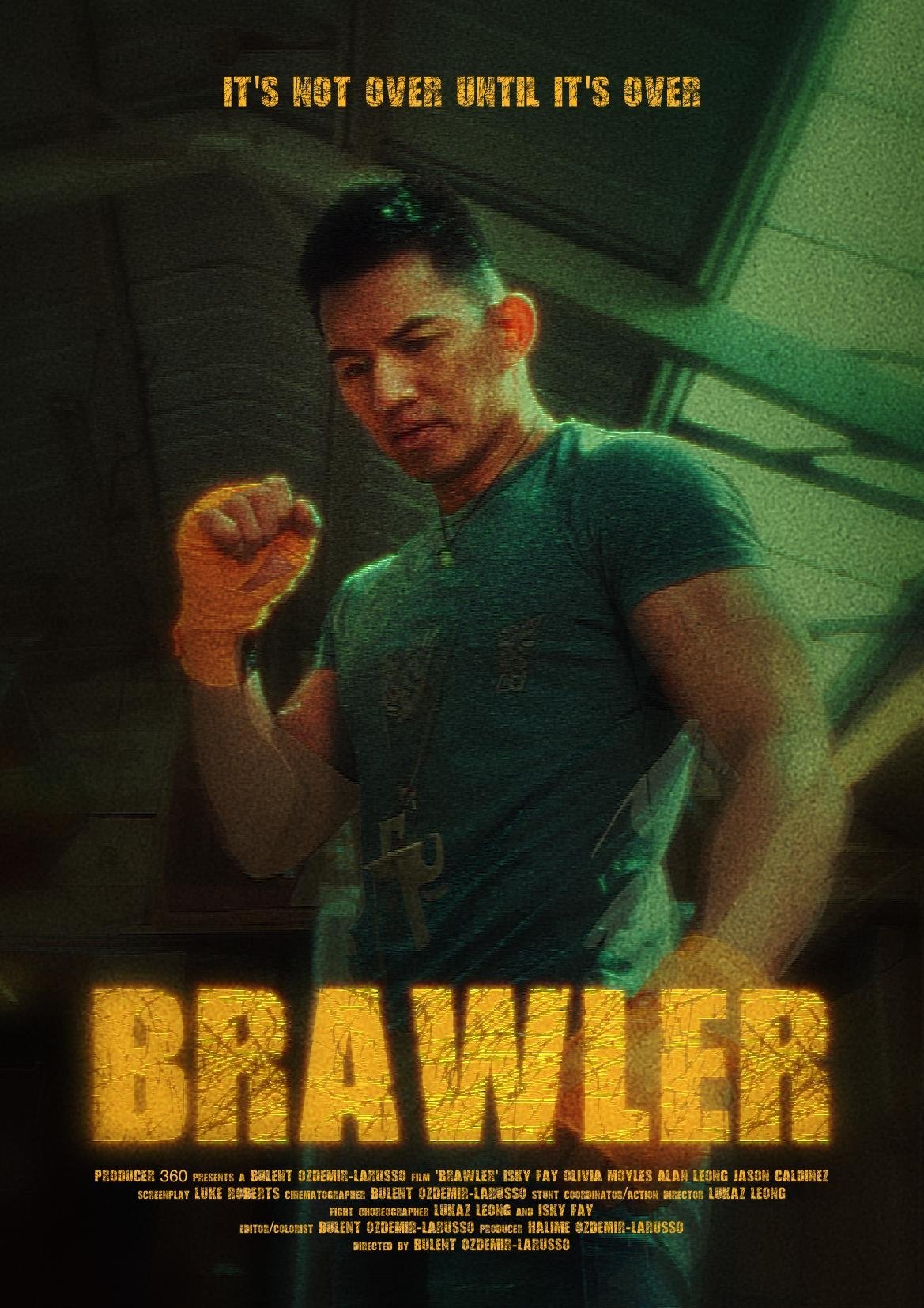 Brawler: Z