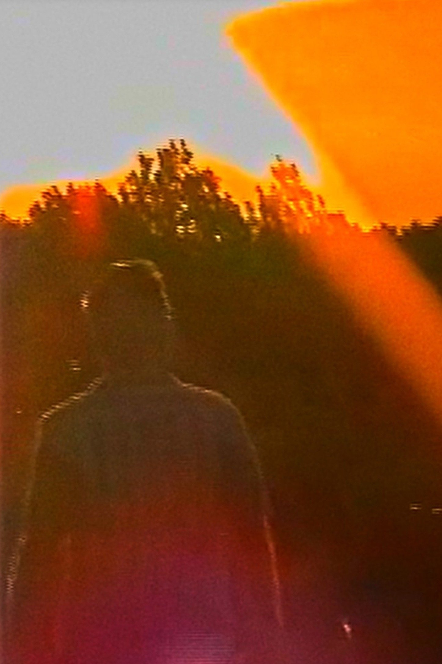 If Memories Fade, Do Feelings Remain?