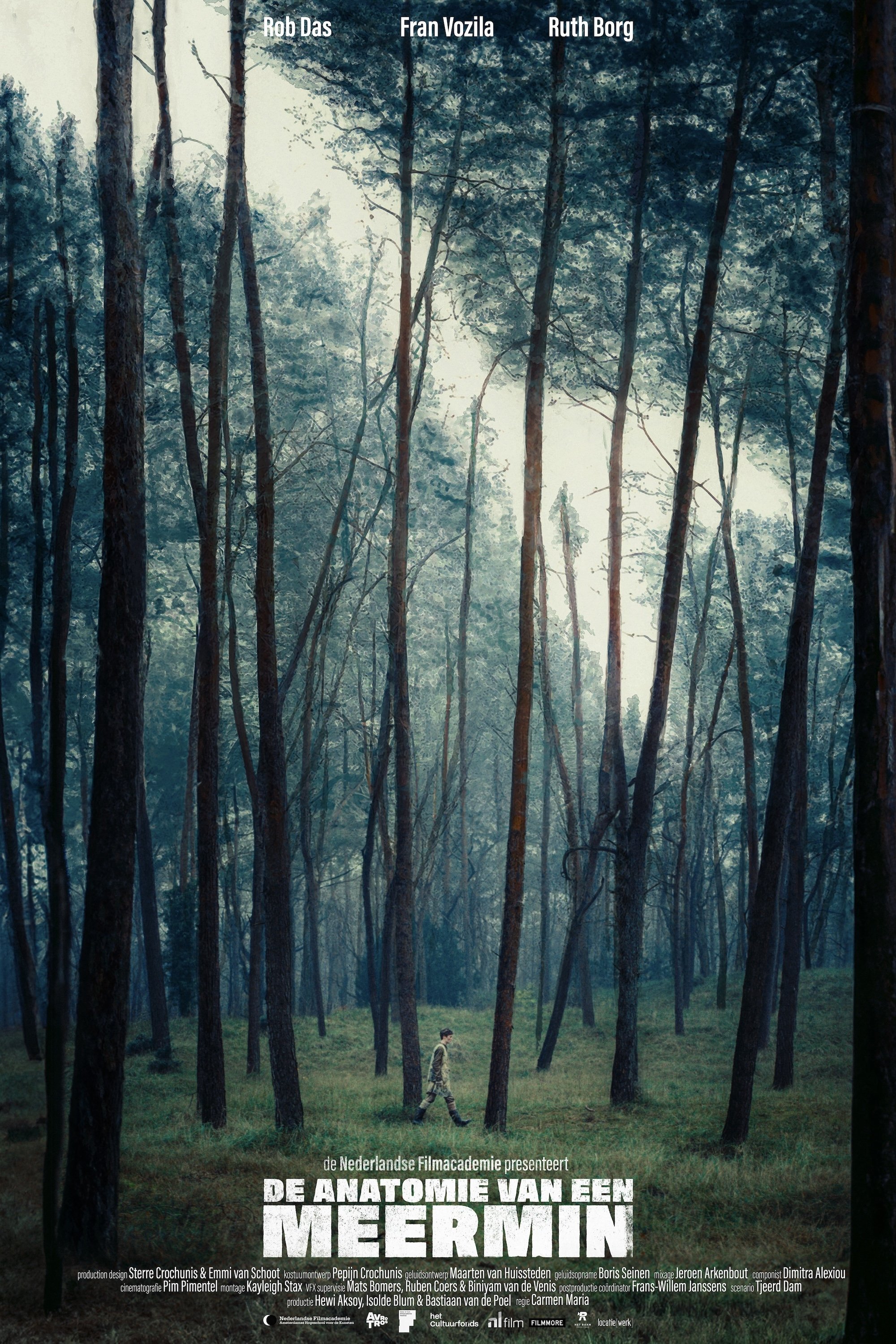 De Anatomie van een Meermin