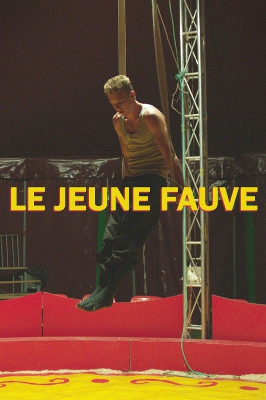 Le jeune fauve