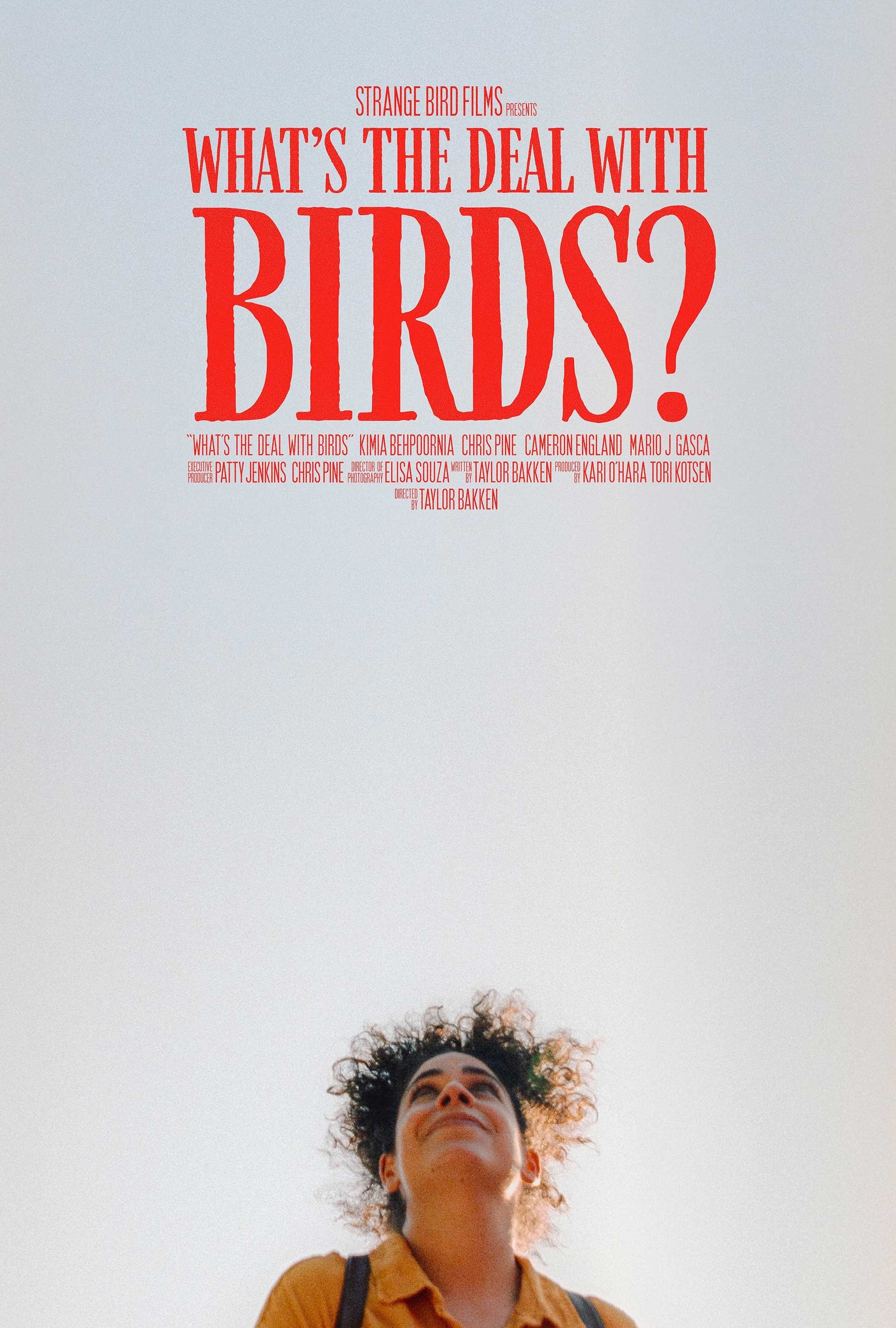 What's the Deal with Birds?