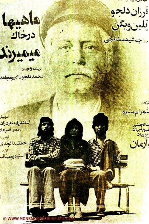 The Fish Die on the Soil