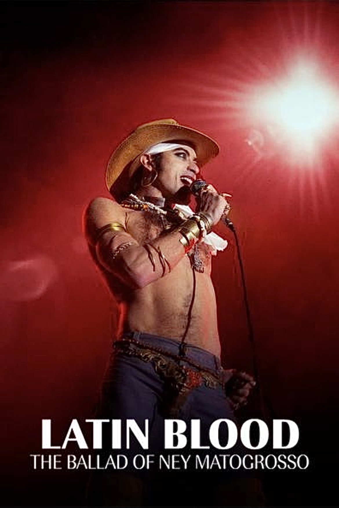 Latin Blood: The Ballad of Ney Matogrosso