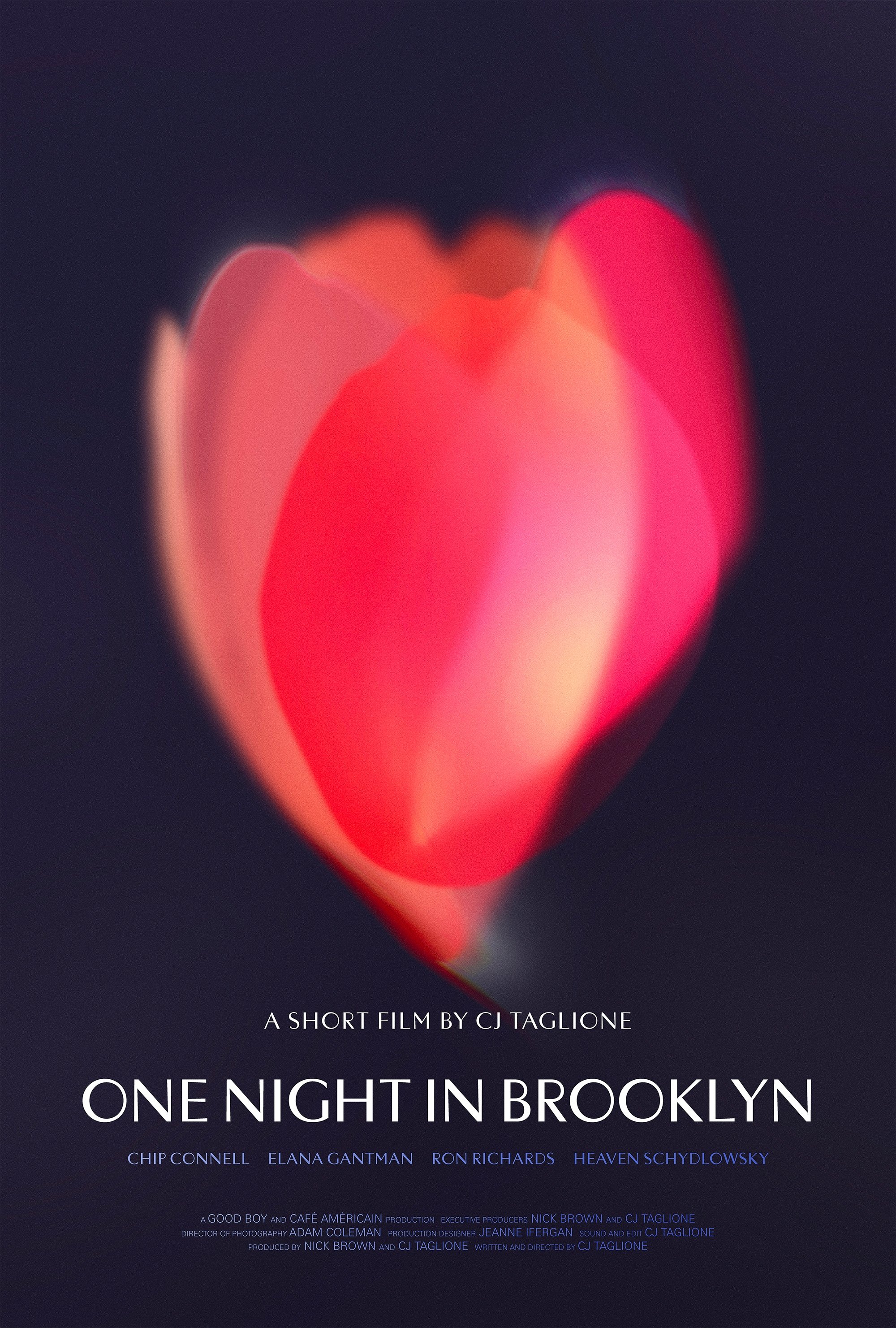 One Night in Brooklyn