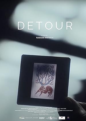 Detour (Documentary)