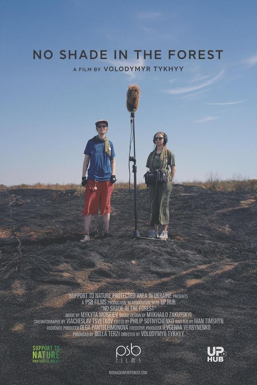 No shade in the forest