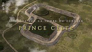 Enquête sur la tombe du dernier prince celte
