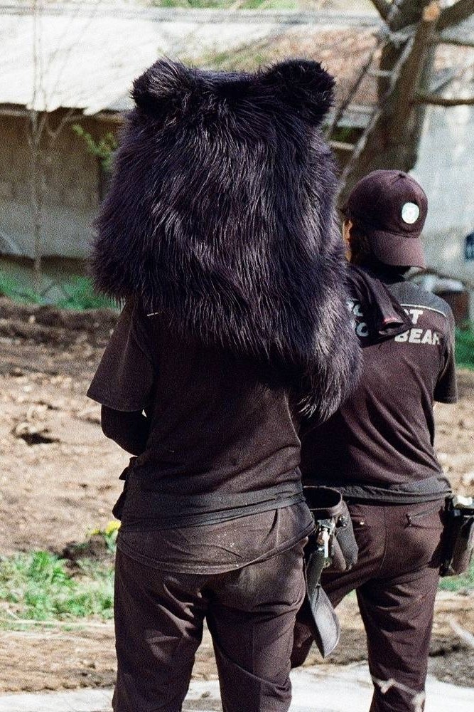 Where We Stay for a While