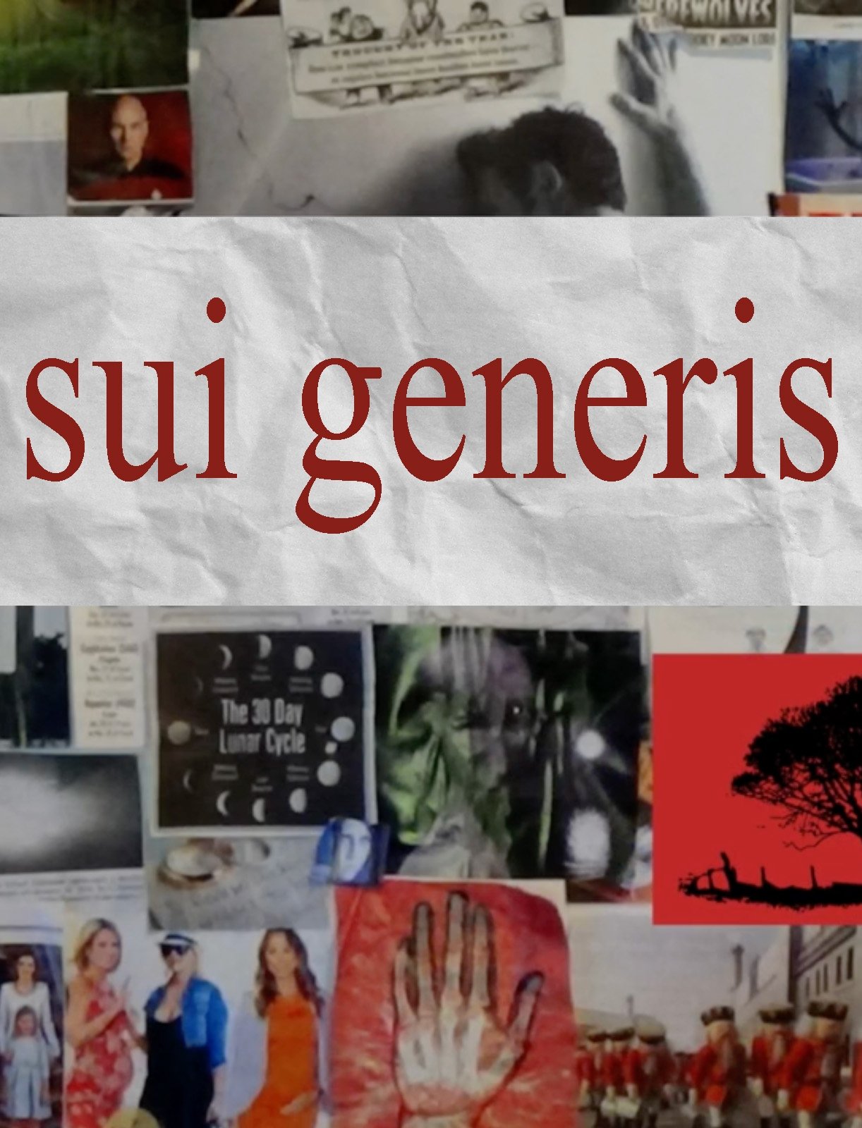 Sui Generis