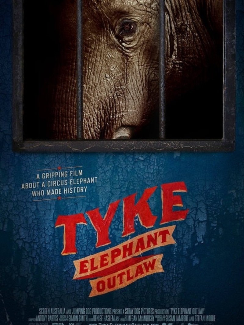 Tyke: Elephant Outlaw