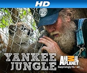 Yankee Jungle