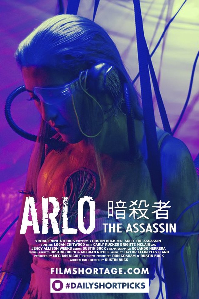 Arlo: The Assassin