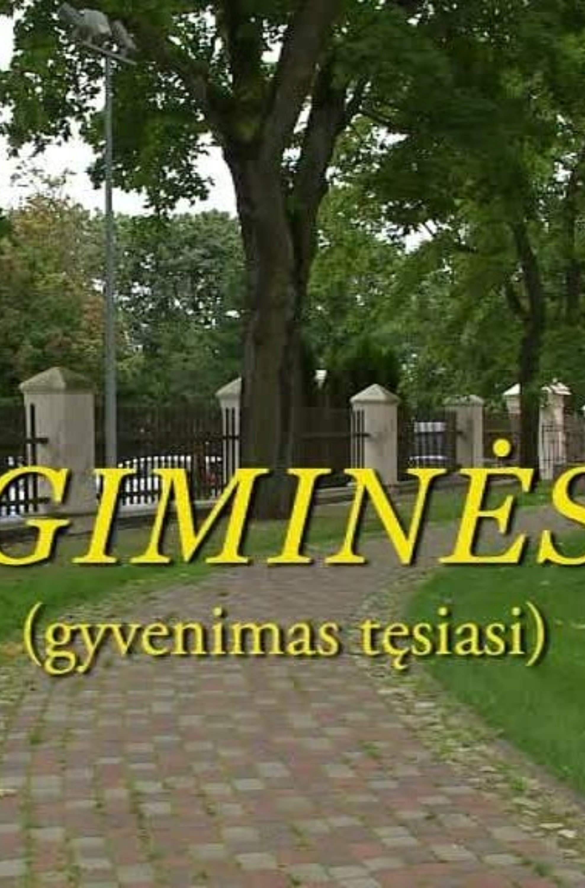 Gimines. Gyvenimas tesiasi