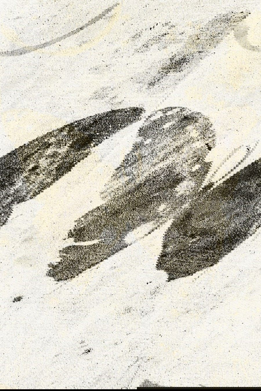 Ulysse: the Webseries