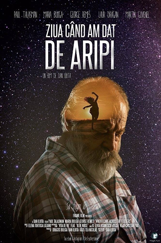 When I Came Across the Feathers