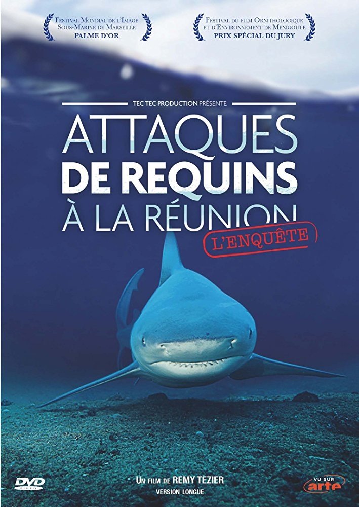 Attaques de requins à La Réunion : L'enquête