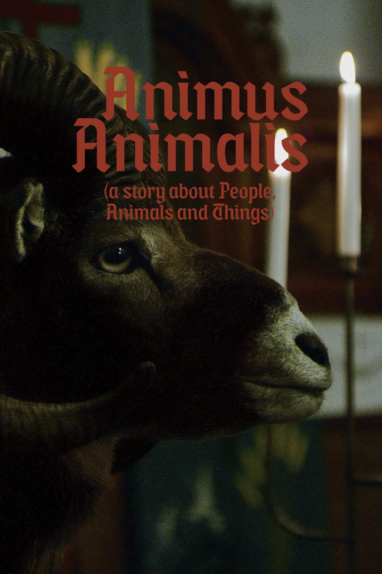 Animus Animalis (a story about People, Animals and Things)