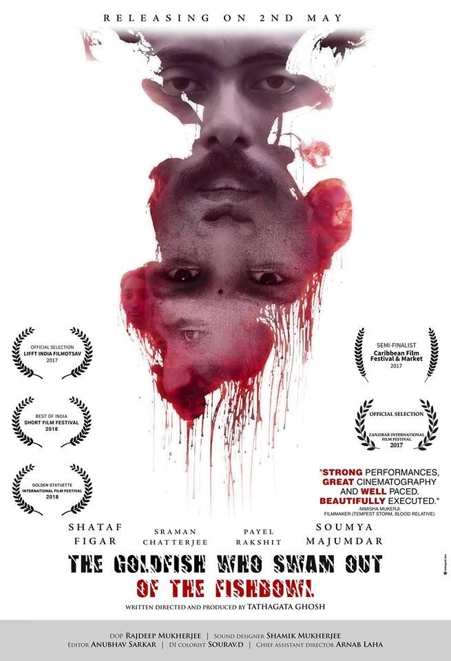 The Goldfish Who Swam Out of the Fish Bowl